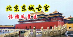 足交大鸡巴大片中国北京-东城古宫旅游风景区